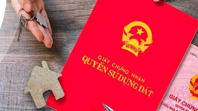 6 Fälle von Änderungen im Grundbuch, die die Ausstellung einer neuen Eigentumsurkunde erfordern.
