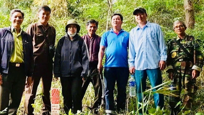 Apabila rakyat mengambil alih hak milik hutan
