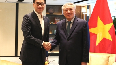 Povzbuzovat renomované mezinárodní finanční instituce k podpoře spolupráce a investic ve Vietnamu.
