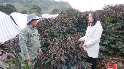 Agricultural extension workers are close to the people and the fields.