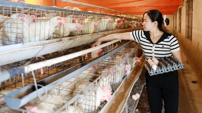 Dalam tempoh 2026-2030, wilayah Bac Ninh masih akan mempunyai lebih daripada 7,700 isi rumah miskin.