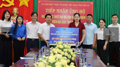 The Vietnam Fatherland Front Committee of Son La province and political and social organizations, and mass associations assigned tasks by the Party and State, focus on leading and directing the effective implementation of assigned tasks.