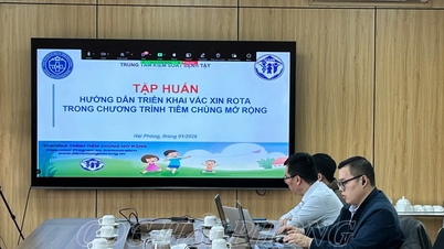 Hai Phong führt Online-Schulungen zur Anwendung des Rota-Impfstoffs im Rahmen des erweiterten Impfprogramms durch.