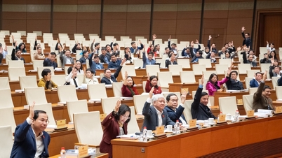 El presidente de la Asamblea Nacional, Tran Thanh Man, asistió a una reunión para recopilar opiniones de los votantes en sus lugares de trabajo, donde 122 personas fueron nominadas para postularse como representantes a tiempo completo de la Asamblea Nacional a nivel central.