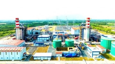 Petrovietnam giữ vai trò trụ cột bảo đảm an ninh năng lượng quốc gia