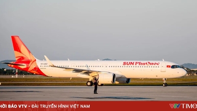 As companhias aéreas vietnamitas estabeleceram novos recordes de transporte em 2025.