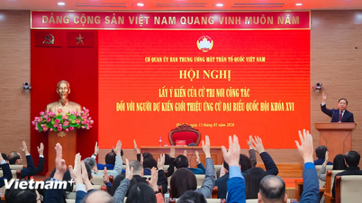 Barisan Tanah Air Vietnam telah mencalonkan lima calon untuk Dewan Undangan Negeri ke-16.