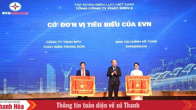 De Trung Son-waterkrachtcentrale ontvangt de EVN-onderscheiding voor uitmuntendheid; het partijcomité vervult zijn taken uitstekend in 2025.