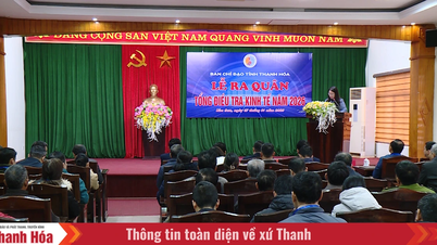 Wilayah Thanh Hoa memastikan kemajuan dan kualiti banci ekonomi umum 2026.