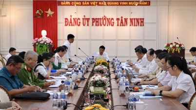 Phường Tân Ninh: Vượt chỉ tiêu thu ngân sách năm 2025, động lực tăng trưởng trong năm 2026 