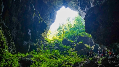 Cine se află în spatele modelului de turism sustenabil „cel mai strict păzit” din Vietnam?