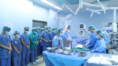 "מאירות" חיים רבים באמצעות מעשיהן האצילים של עובדות בריאות."