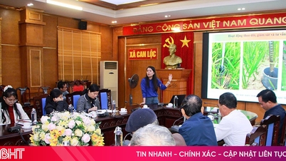 เรียนรู้เทคนิคการผลิตข้าวเพื่อสร้างเครดิตคาร์บอน