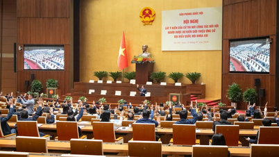 Through the list of 122 people nominated to run for full-time National Assembly deputies at the central level.