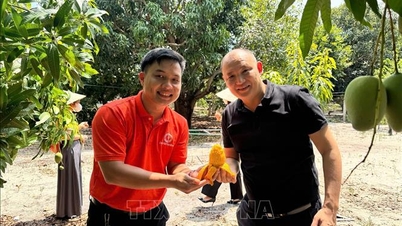 Du lịch Khánh Hòa trong không gian phát triển mới - Bài 2: Quà quê xây nên thương hiệu