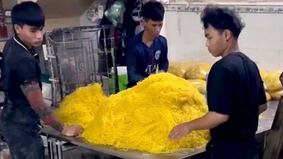 Macarrão tóxico e carne de porco contaminada descobertos: como a cidade de Ho Chi Minh está protegendo seus cidadãos?