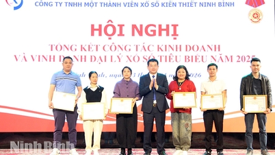 W 2025 roku Ninh Binh Lottery Company Limited wpłaci do budżetu państwa ponad 50 miliardów VND.