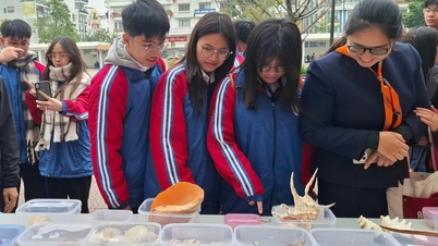 学生たちに自然に触れてもらい、文化遺産の保護について学んでもらいます。