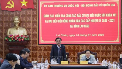 Místopředseda Národního shromáždění Le Minh Hoan kontroluje a dohlíží na volební práce v Lai Chau.
