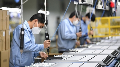Młodzi przedsiębiorcy z Hai Phong stawiają na ekologiczną produkcję i zrównoważony wzrost.