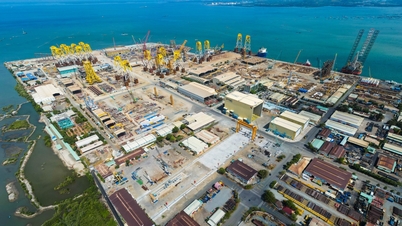 Amprenta tinereții PetroVietnam în sectorul energiei eoliene offshore.