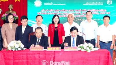 Perusahaan pertama yang menandatangani kontrak untuk memajak tanah hutan bagi projek ekopelancongan di Dong Nai.