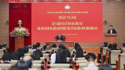 Frontul Patriei Vietnam solicită opiniile alegătorilor de la locurile lor de muncă pentru a nominaliza candidați pentru a 16-a Adunare Națională.