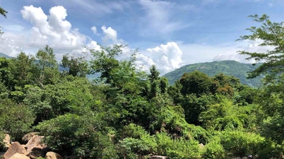 ค้นพบธารน้ำเย็นบัคไอ: สถานที่เย็นสบายบริสุทธิ์ท่ามกลางเทือกเขานิงถวน