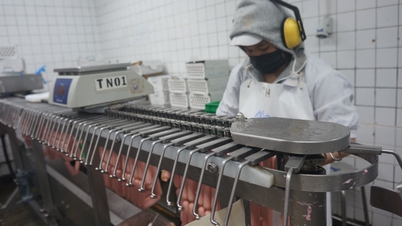 Multe companii din orașul Ho Chi Minh își măresc bonusurile de Tet pentru Anul Calului (2016).