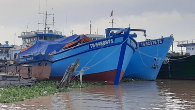 จังหวัดด่งทับบริหารจัดการและตรวจสอบการดำเนินงานของเรือประมงอย่างใกล้ชิด