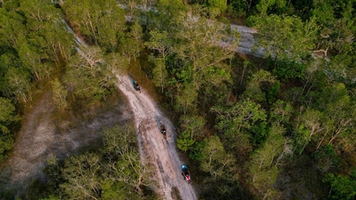 Vườn quốc gia Phú Quốc: Cẩm nang trekking và khám phá lá phổi xanh giữa lòng đảo ngọc