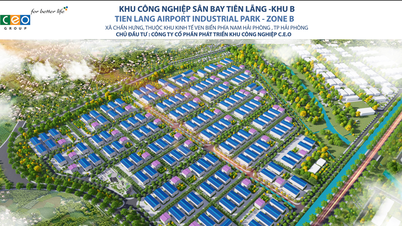 กลุ่มบริษัท CEO ปรับเปลี่ยนกลยุทธ์การลงทุน โดยลดการลงทุนในโครงการรีสอร์ทเกาะฟู้โกว๊ก และหันไปลงทุนในเขตอุตสาหกรรมไฮฟองแทน