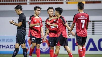 Industrieuniversiteit van Ho Chi Minh-stad – Politieuniversiteit: Twee contrasterende stijlen