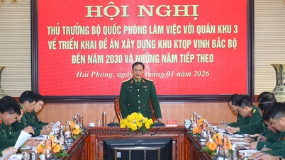 De economische en defensiezone van de Golf van Tonkin ontwikkelen in samenhang met de nationale defensie in de nieuwe situatie.