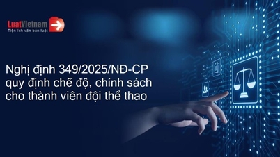 គោលនយោបាយ និងបទប្បញ្ញត្តិទាក់ទងនឹងសមាជិកក្រុមកីឡា។