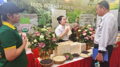 TP.HCM triển khai kế hoạch hỗ trợ doanh nghiệp nhỏ và vừa năm 2026