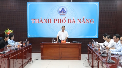Da Nang planea construir tres nuevas escuelas secundarias.