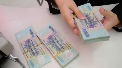 Jaké budou zisky bank v roce 2025: Kdo zrychlí a kdo zpomalí?