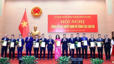 Hanoi tiene un nuevo Director del Departamento de Educación y Formación, quien también es el Presidente del Consejo de Administración de la Universidad de Educación de Hanoi.