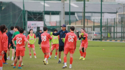 L'équipe nationale féminine vietnamienne a tenu son premier stage d'entraînement en vue des championnats d'Asie de 2026.