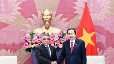 លោក ត្រឹន ថាញ់ ម៉ាន់ ប្រធានរដ្ឋសភា ទទួលជួបឯកអគ្គរដ្ឋទូតហ្វីលីពីន។