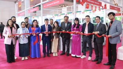 Việt Nam tham dự Indusfood 2026: Thúc đẩy thương mại song phương về thực phẩm với Ấn Độ