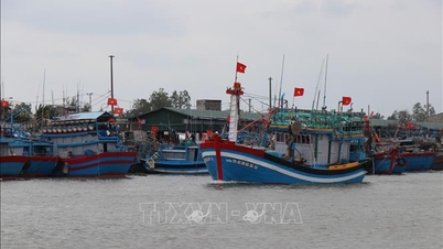 Quảng Ngãi 'tiếp sức' cho ngư dân chuyển đổi nghề