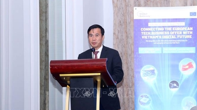 Numirea în funcția de vicepreședinte al Academiei de Știință și Tehnologie din Vietnam