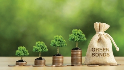 Bonos verdes: abriendo el camino para que los bancos obtengan capital a largo plazo.