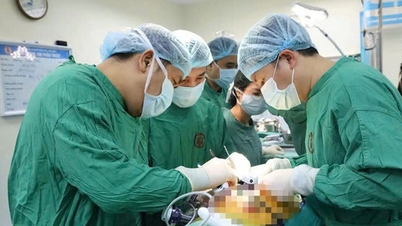 베트남-스웨덴 우옹비 병원에서 산모로부터 아이에게로 신장을 이식하는 또 다른 수술이 시행되었습니다.