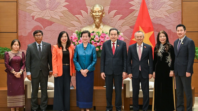 [Foto] Nationalförsamlingens ordförande Tran Thanh Man tar emot Kambodjas, Filippinernas och USA:s ambassadörer för ett avskedsbesök.