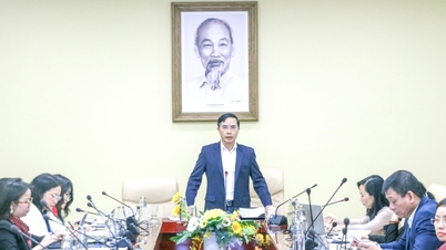 Consultation avec AVSE Global sur la stratégie de développement à long terme de la ville de Da Nang.