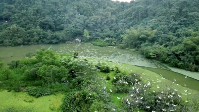 Thung Nham – królestwo ptaków i unikalny ekosystem w Ninh Binh.