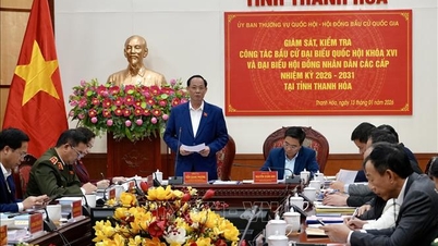 Bảo đảm bầu cử đúng luật, đúng tiến độ